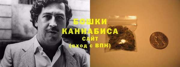 таблы Гусев