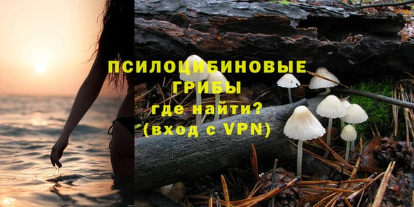 синтетический гашиш Гусиноозёрск