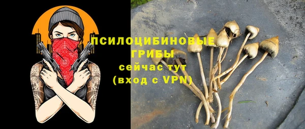 синтетический гашиш Гусиноозёрск
