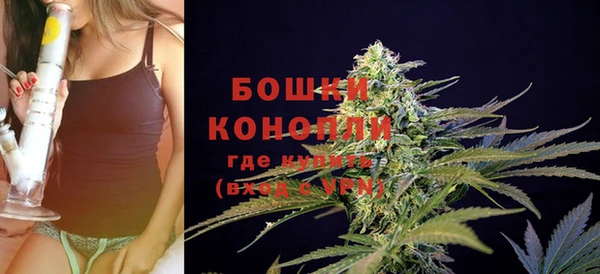 таблы Гусев
