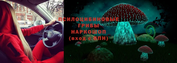 прущие крисы Гусь-Хрустальный
