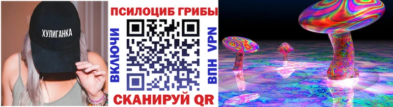 Псилоцибиновые грибы прущие грибы  Купить  Каменногорск 