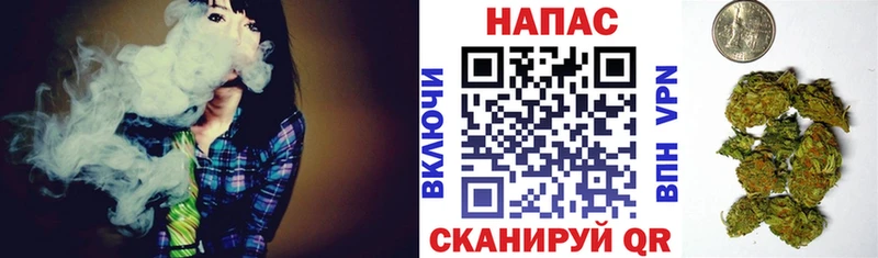 Купить закладки  Каменногорск  Канабис SATIVA & INDICA 